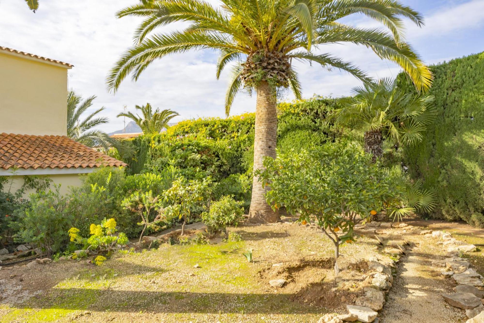 Villa Carola - Plusholidays *
