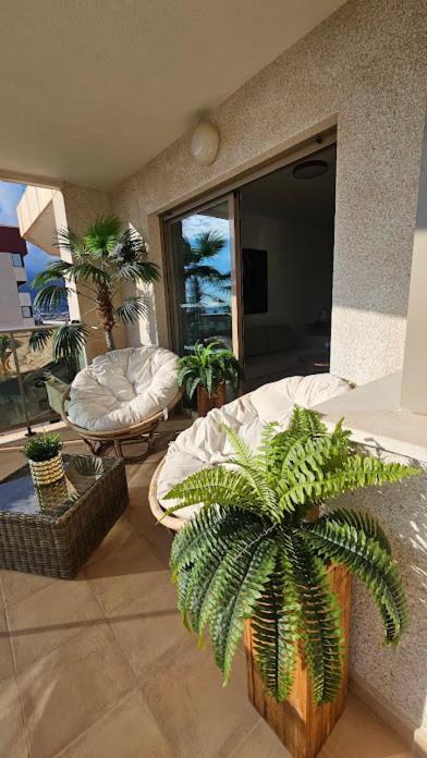 Esmeralda Sunrise Apartamento *