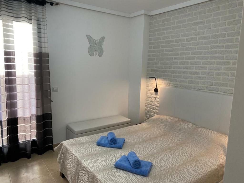 Apartment Centrico, 3 Minutes To Arenal-bol *