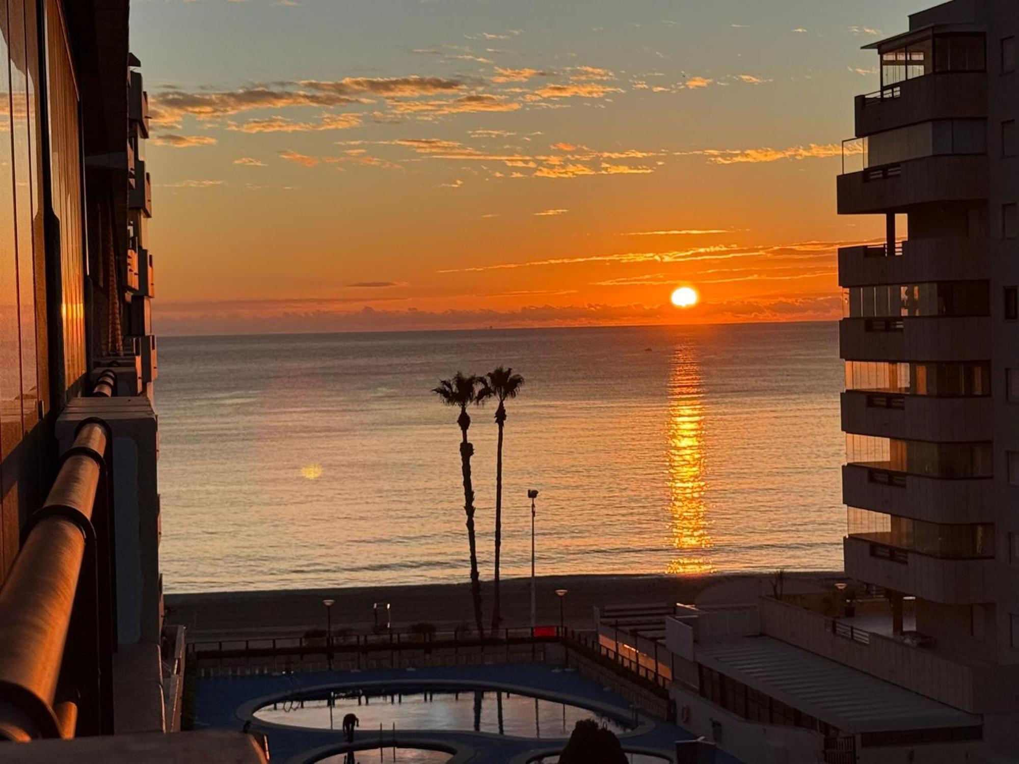 Flaming Topacio * Calpe