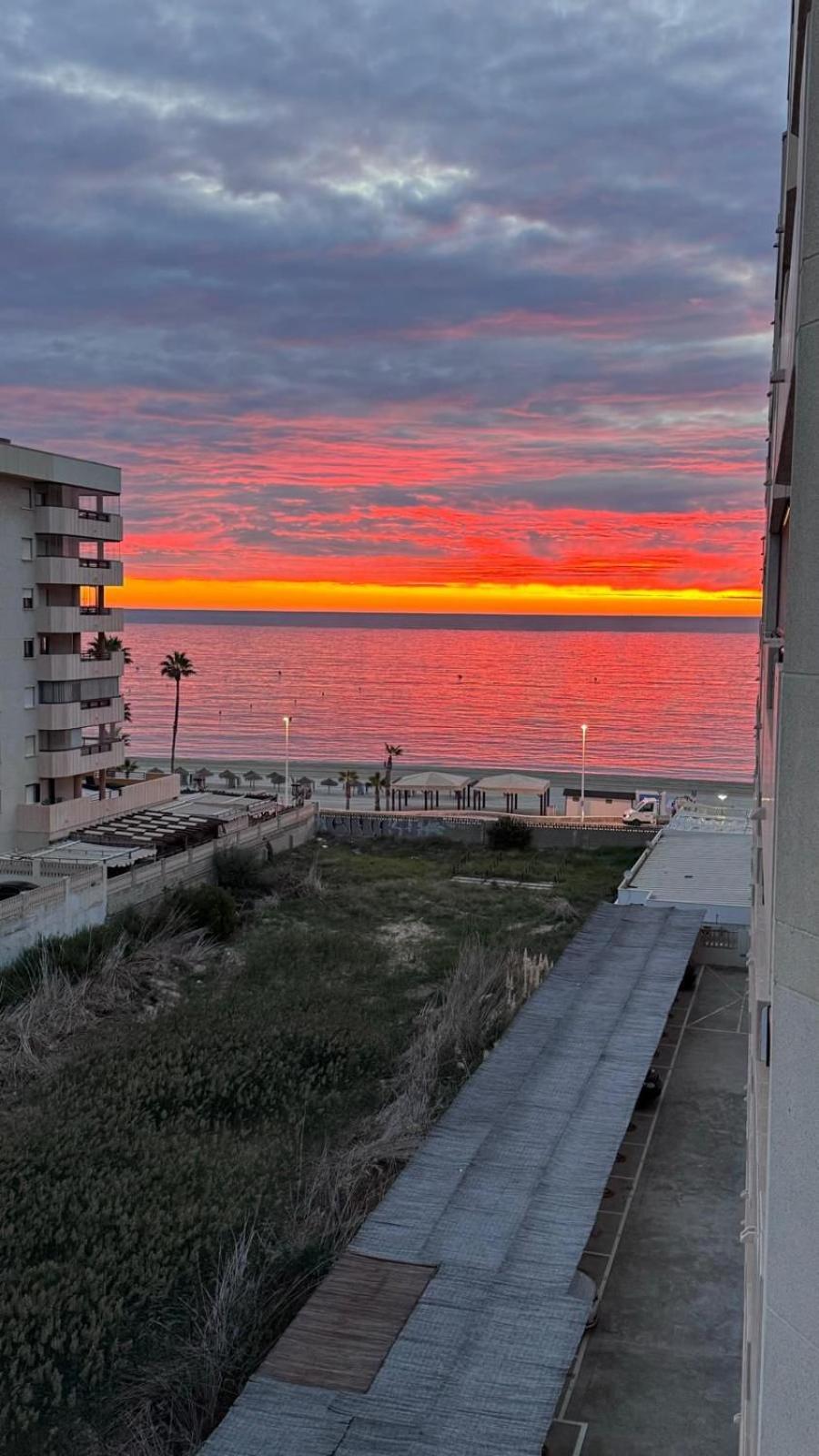 Flaming Topacio Calpe