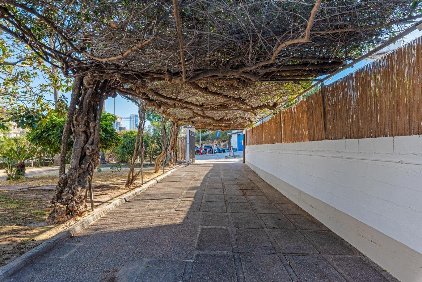 Villa Tropical - Plusholidays