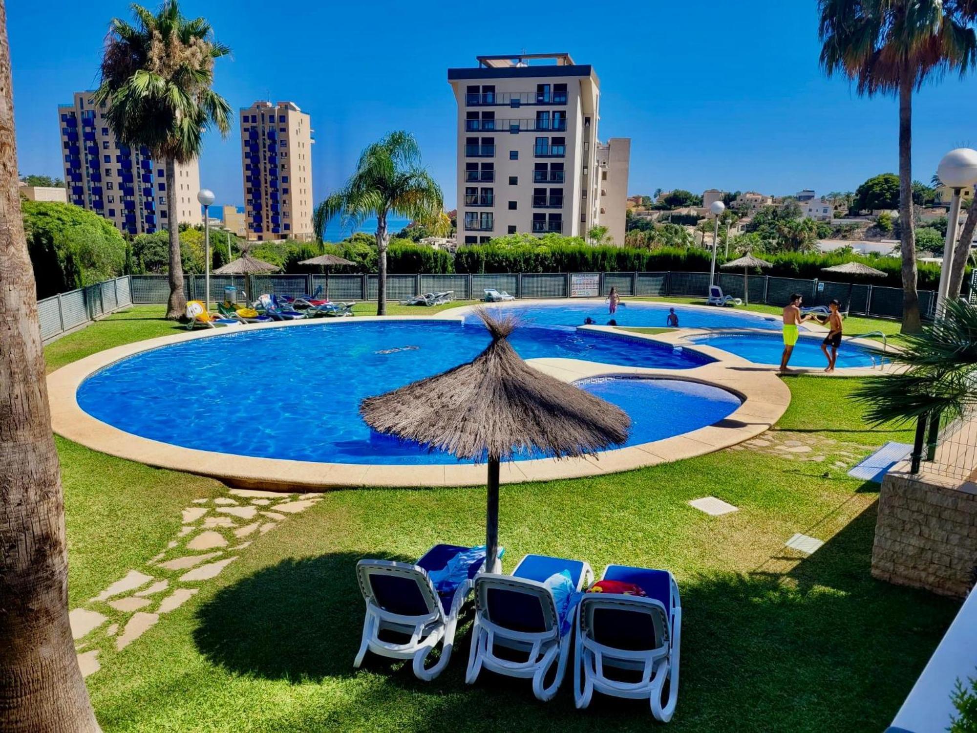 Seahorse Calpe