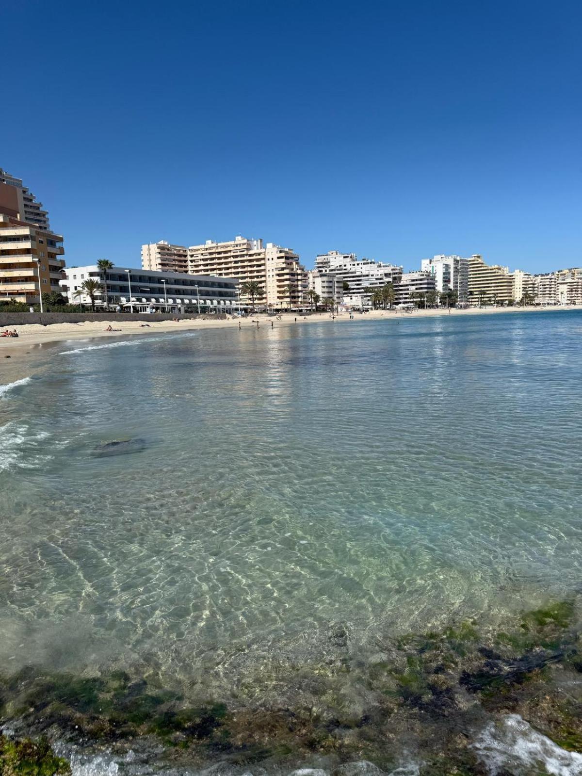Flaming Topacio * Calpe