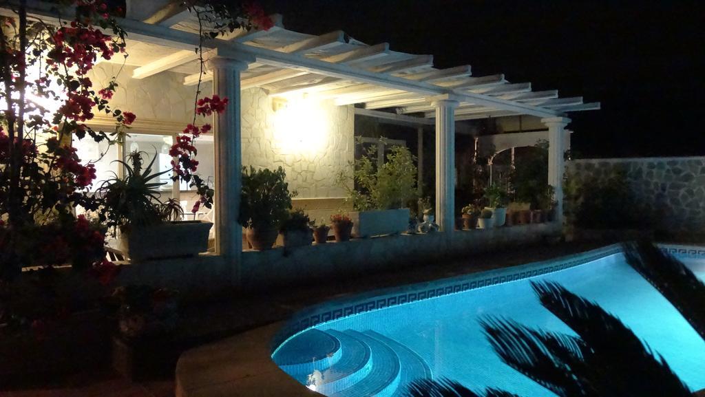 La Paloma I Guest house 3*