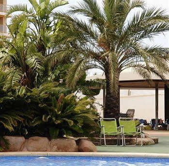 Villas Guzman - Apartamento Coral Beach Apartment *