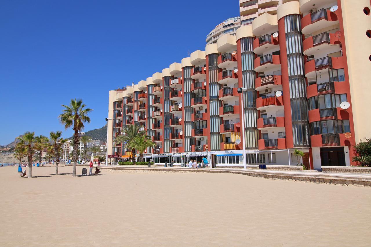 Holiday Oceanic Apartment *