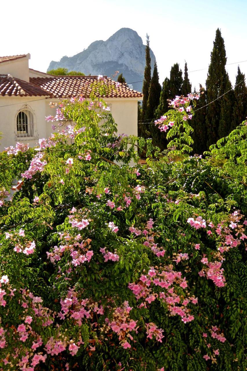 Benavero Boutique Style Within Fenced Tropical Garden Villa *