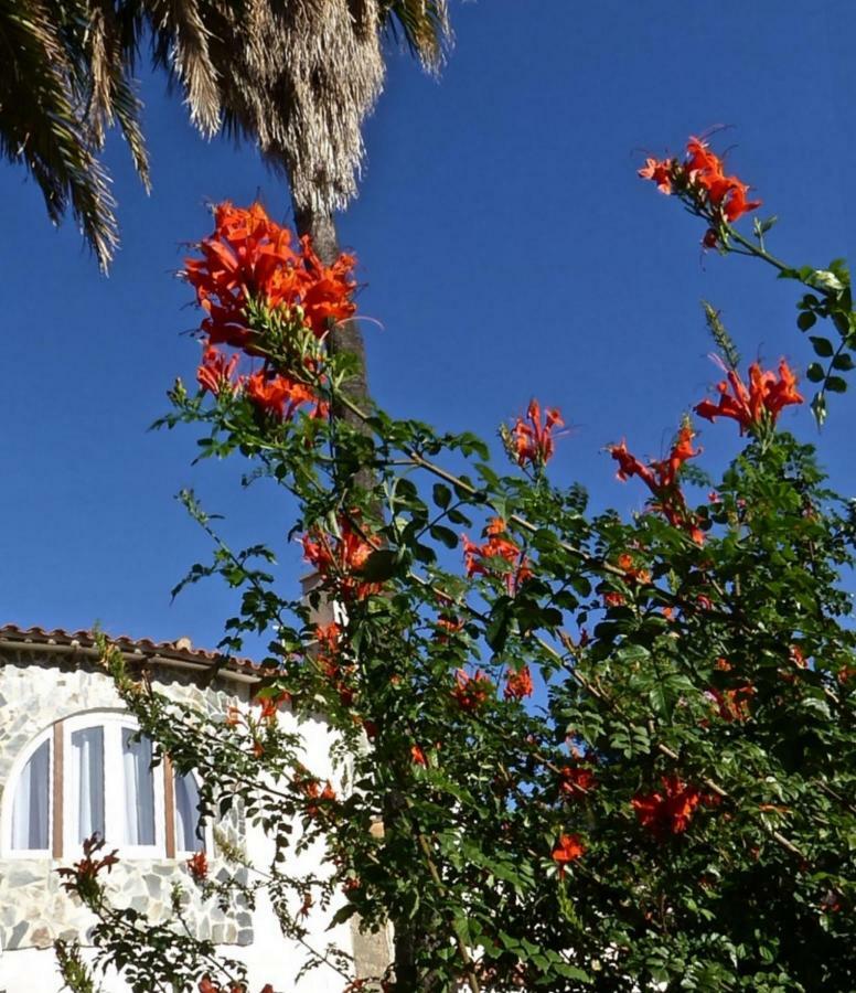Benavero Boutique Style Within Fenced Tropical Garden Villa Calpe