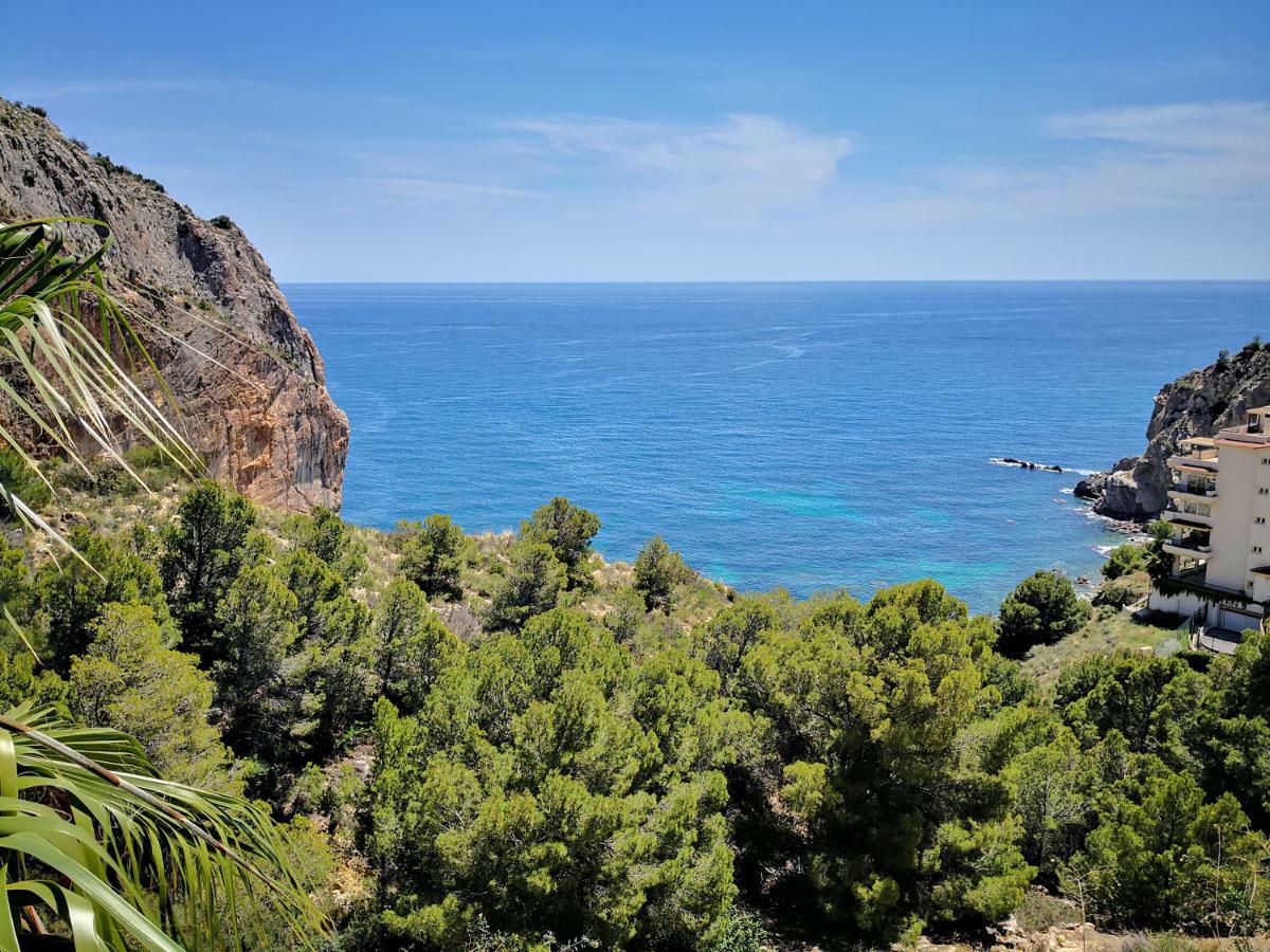 Oceanic Mascarat 21 * Calpe