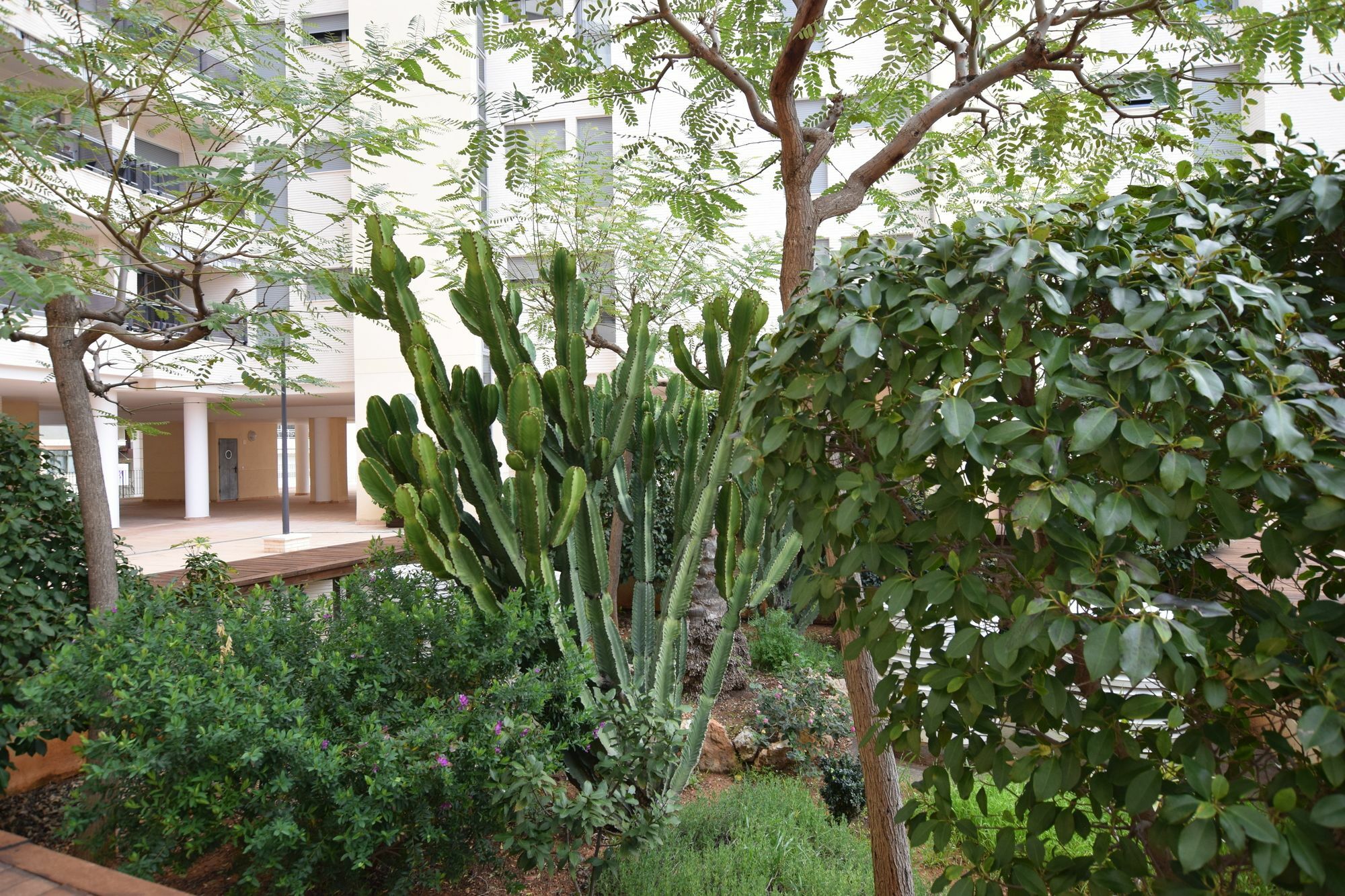 Apartment Plaza Mayor