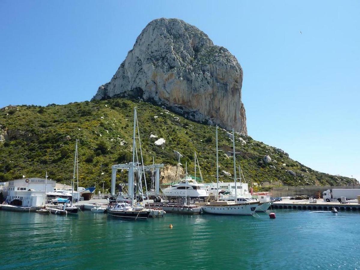 Roig