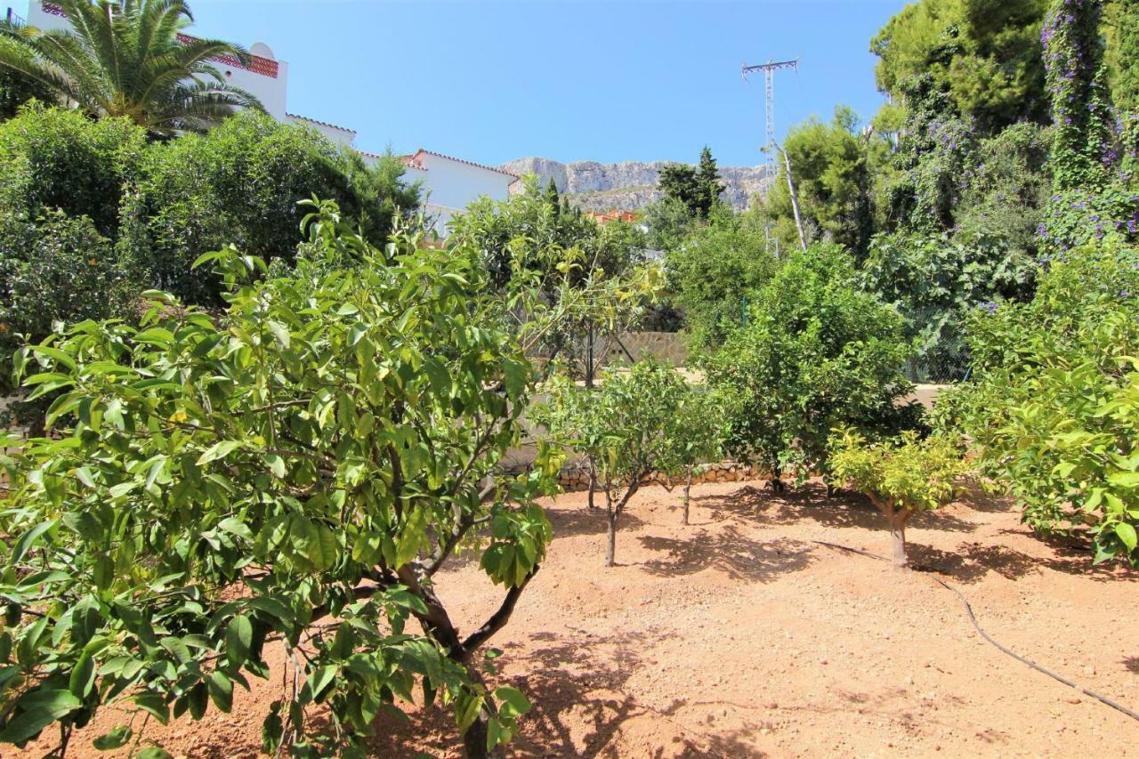 Villavenus Villa