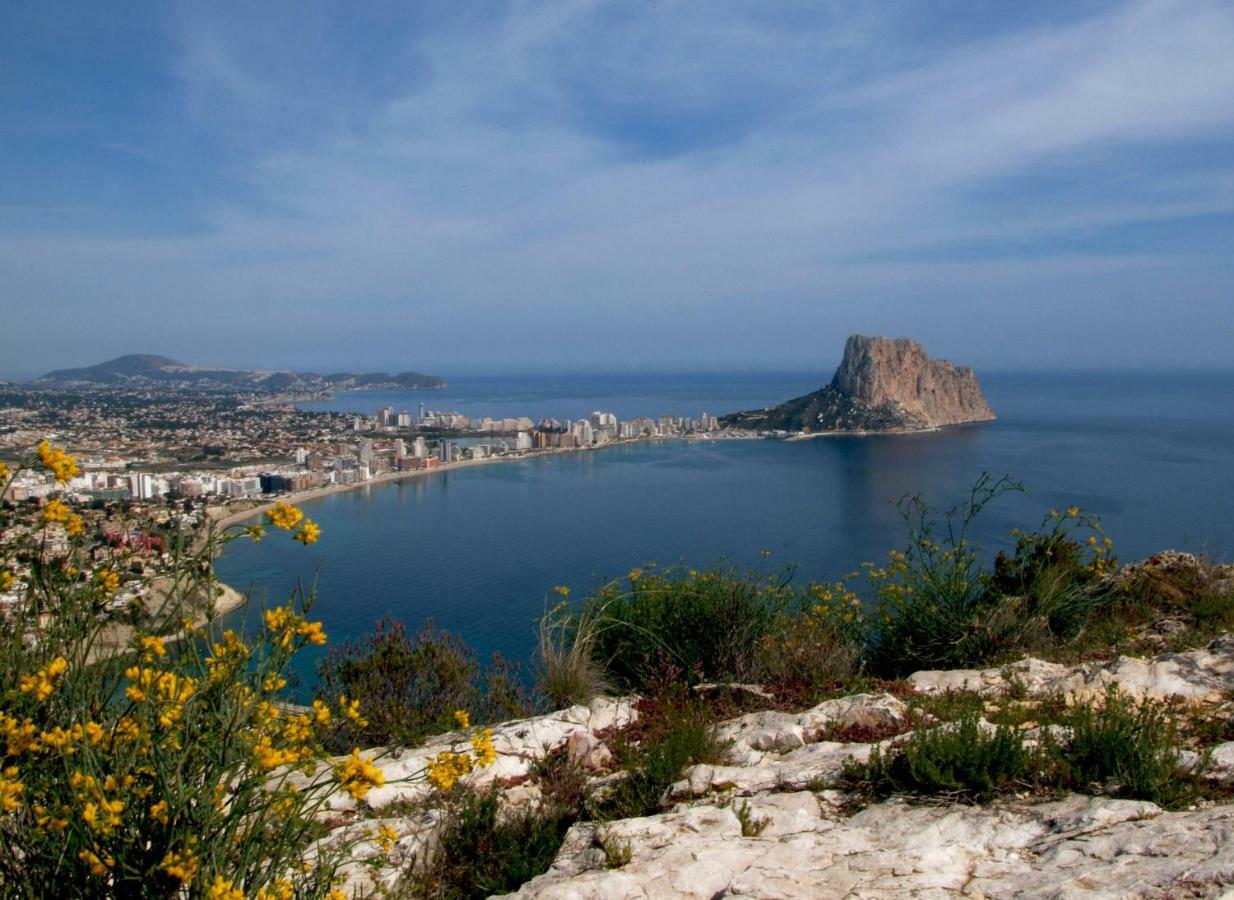 Apartamento Atenas Playa