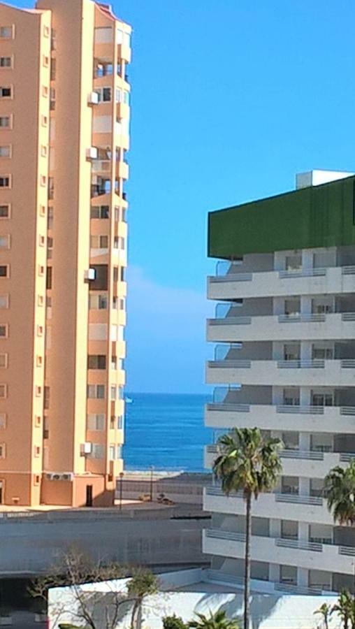 Coral Apartment