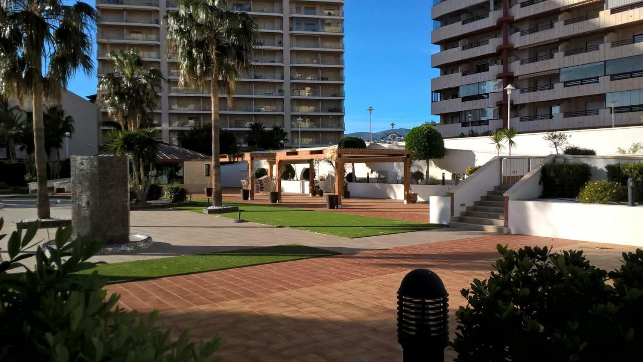 Coral Apartment