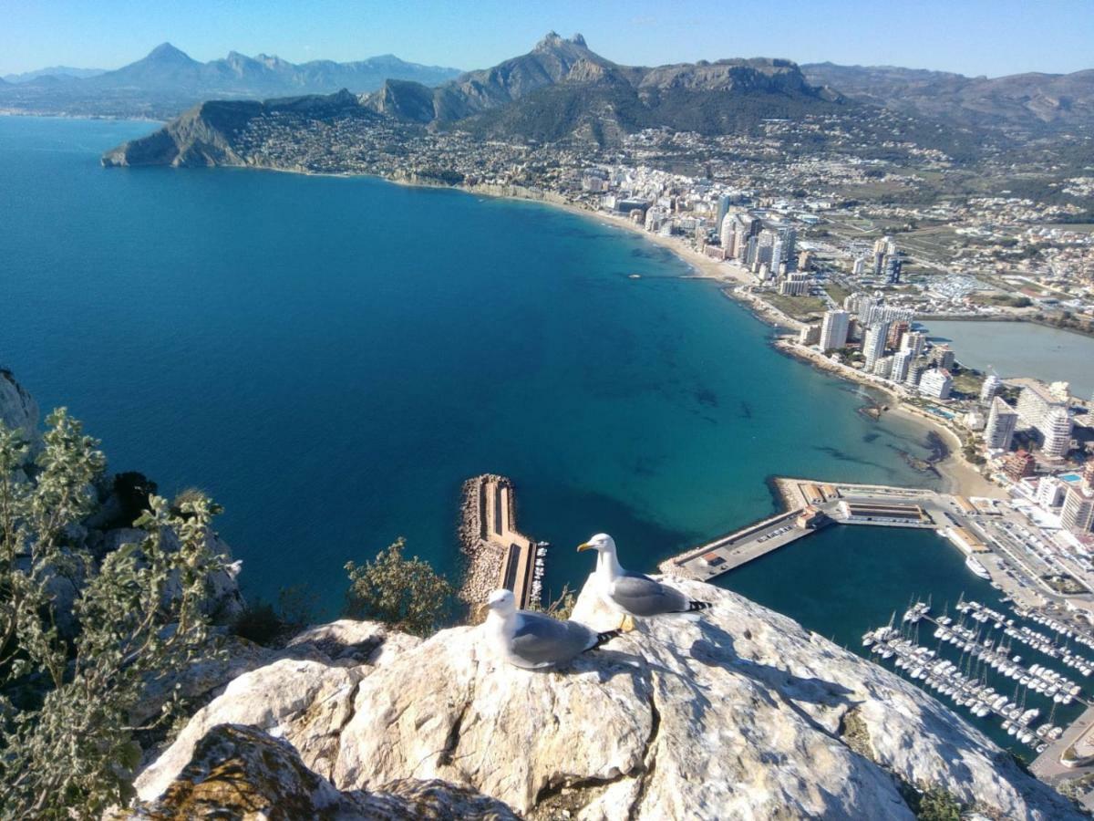 Calpe9a * Calpe