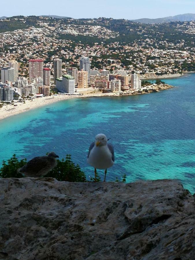 Voramar Calpe