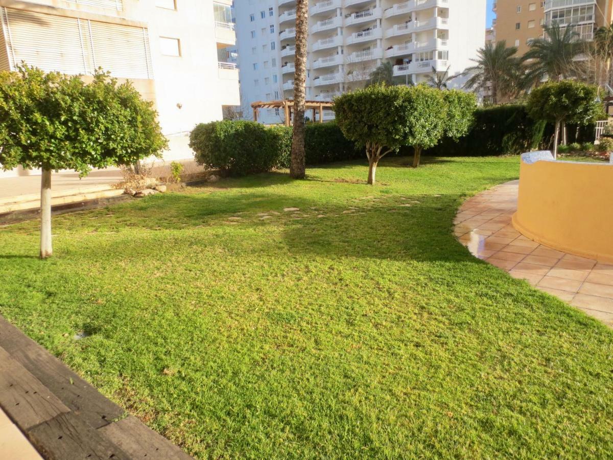 Apartamento Apolo 16, Planta 17 *