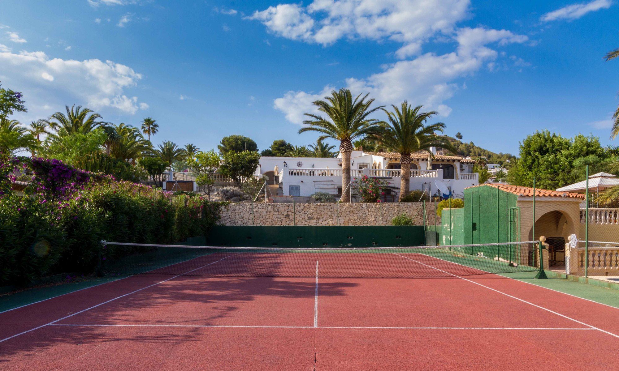 Tenis Janka Costa *