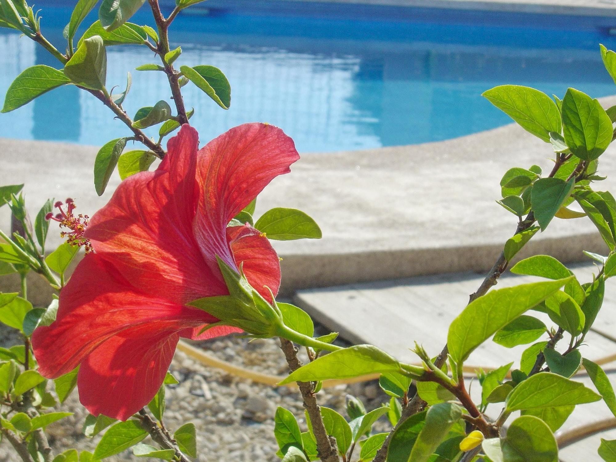 With 2 Bedrooms In Calpe, With Wonderful Sea View, Private Pool Villa *