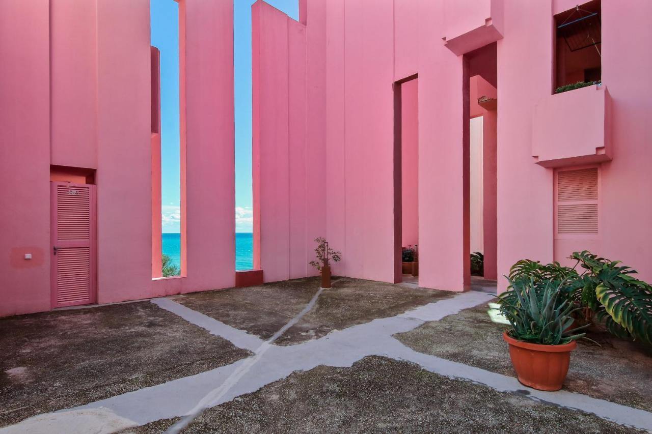 Coral In Muralla Roja *