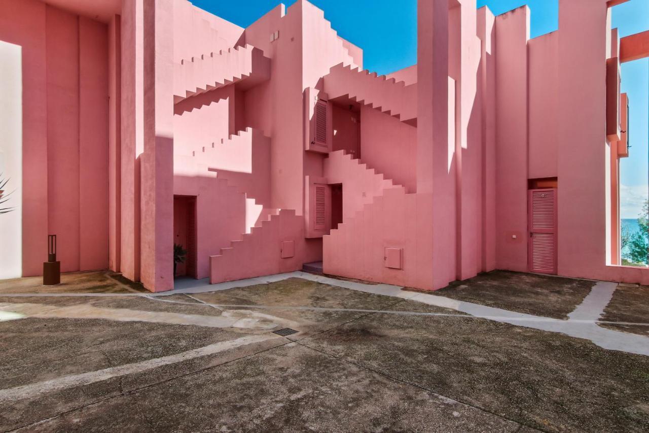 Coral In Muralla Roja *