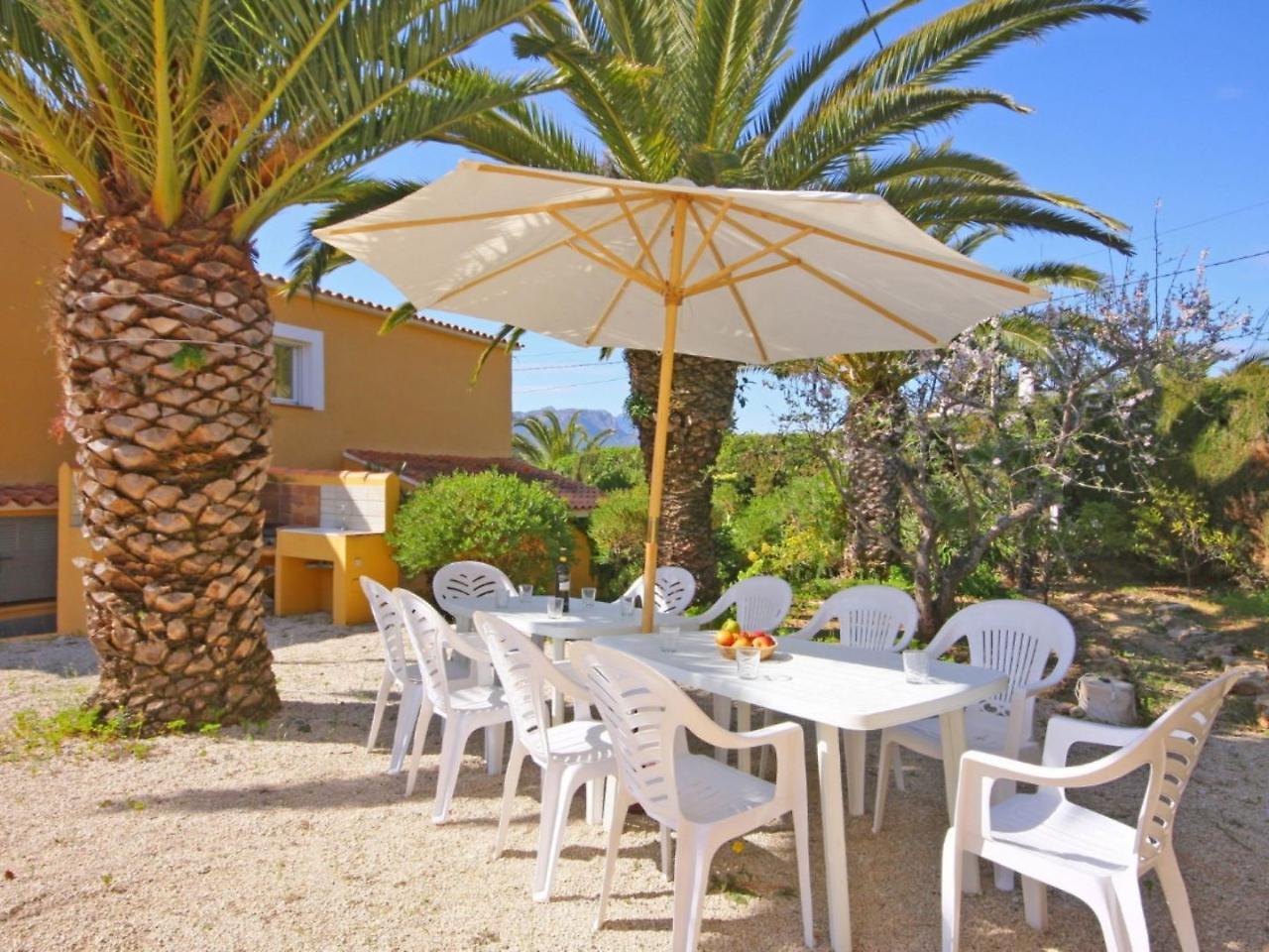 Carrio Park Palm - 105012