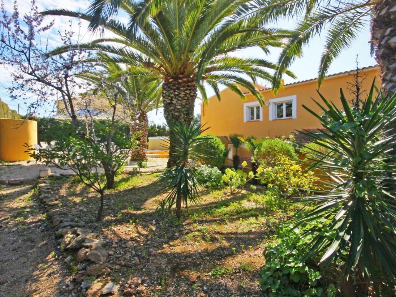 Carrio Park Palm - 105012 *