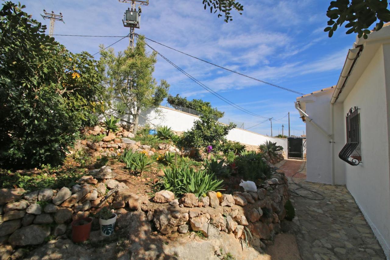 Mimosa - Costa Calpe