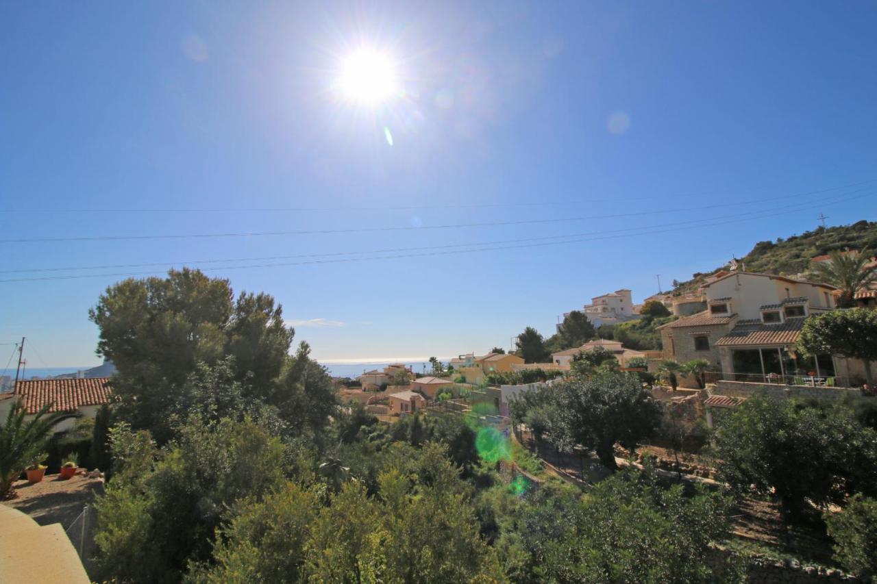 Mimosa - Costa * Calpe