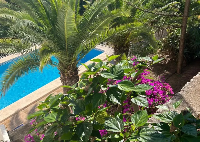 Amazing View Villa