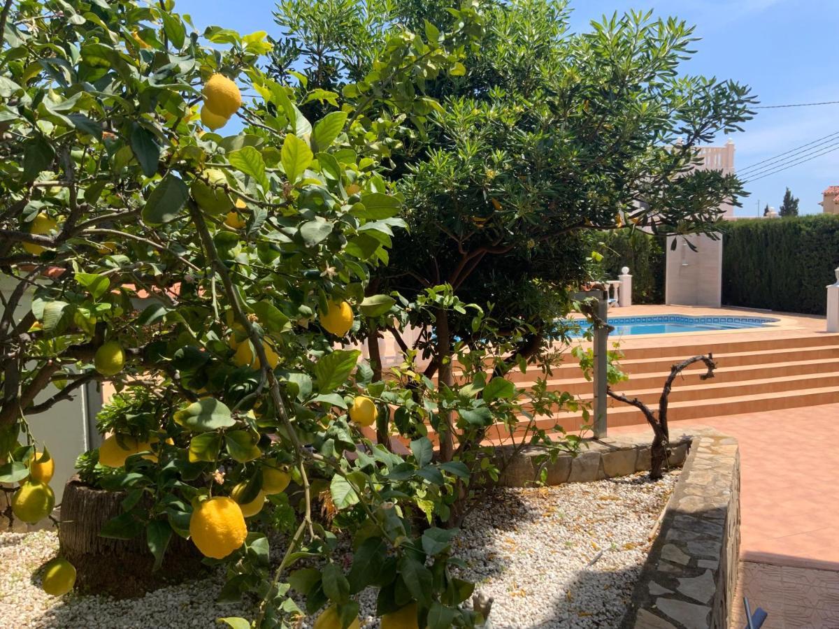 Villa 200 Meters From The