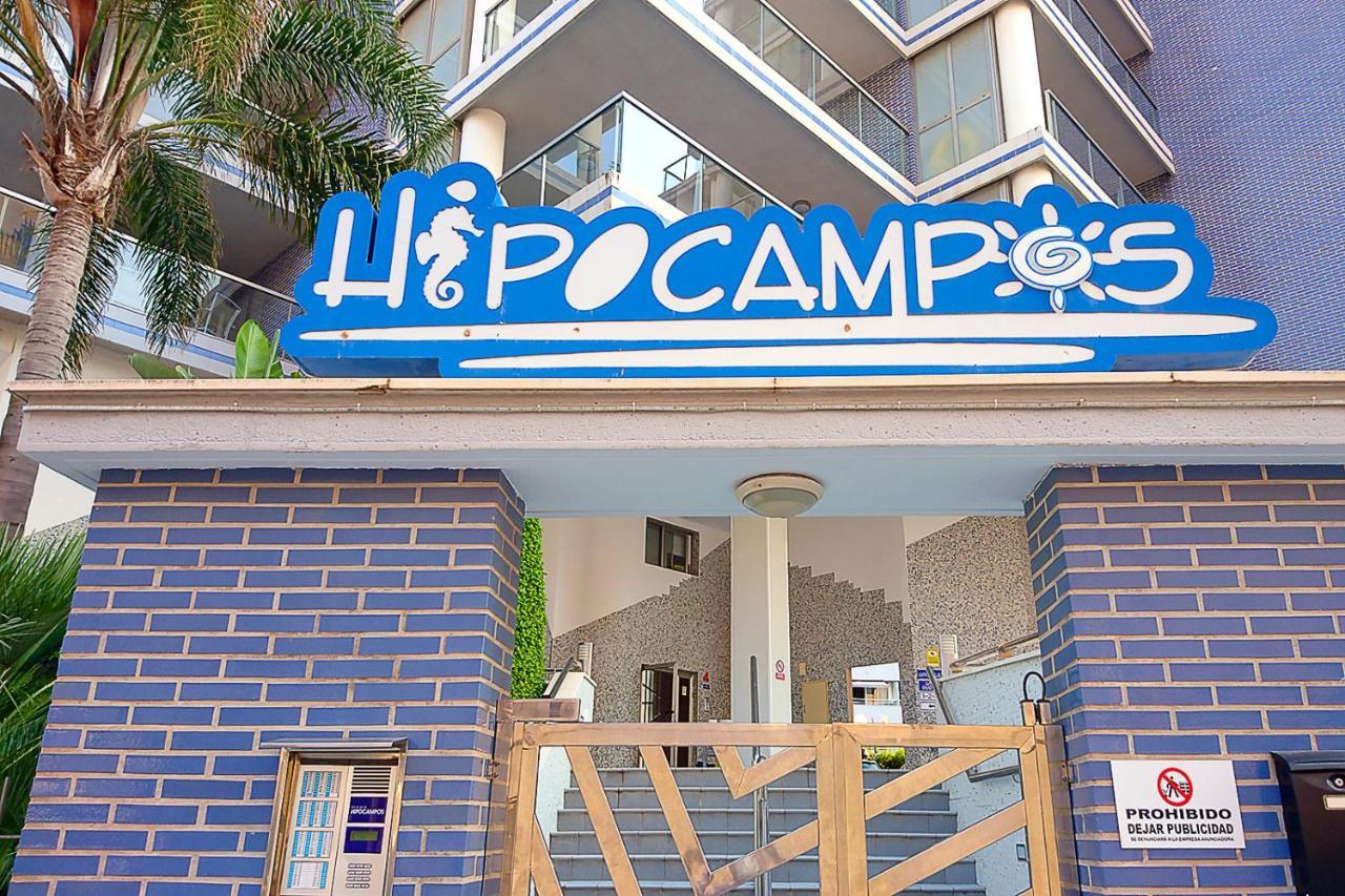 Hipocampos Elite Apartamento *