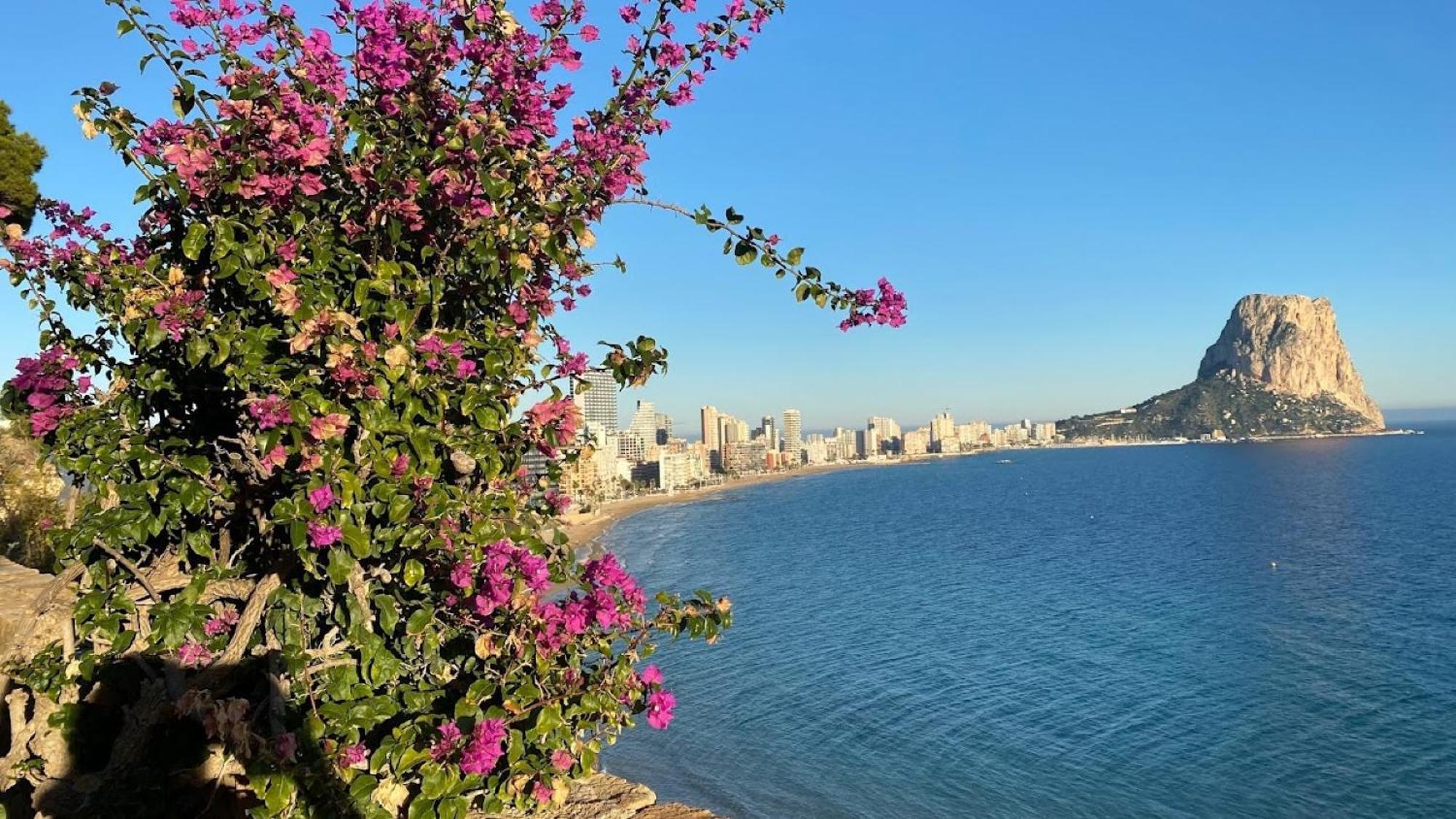 Timora Sea View New Apart' Hipocampos Apartment *