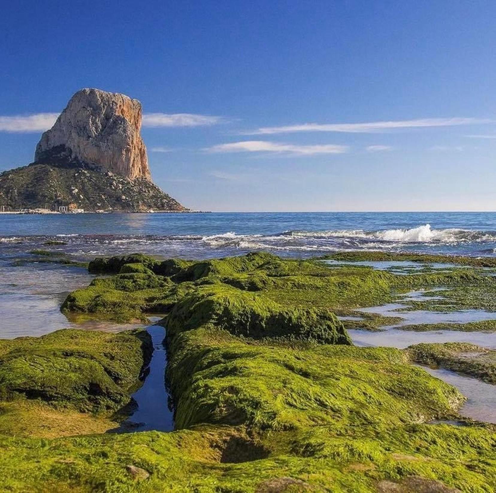 Timora Sea View New Apart' Hipocampos Calpe