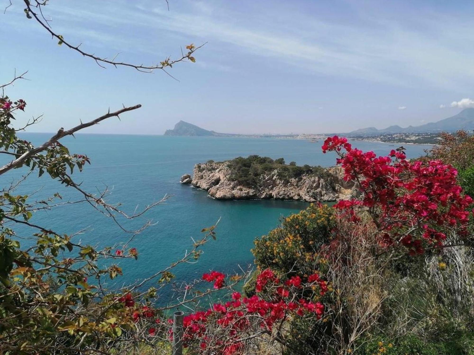 Apartment Timora Sea View New Apart' Hipocampos Calpe