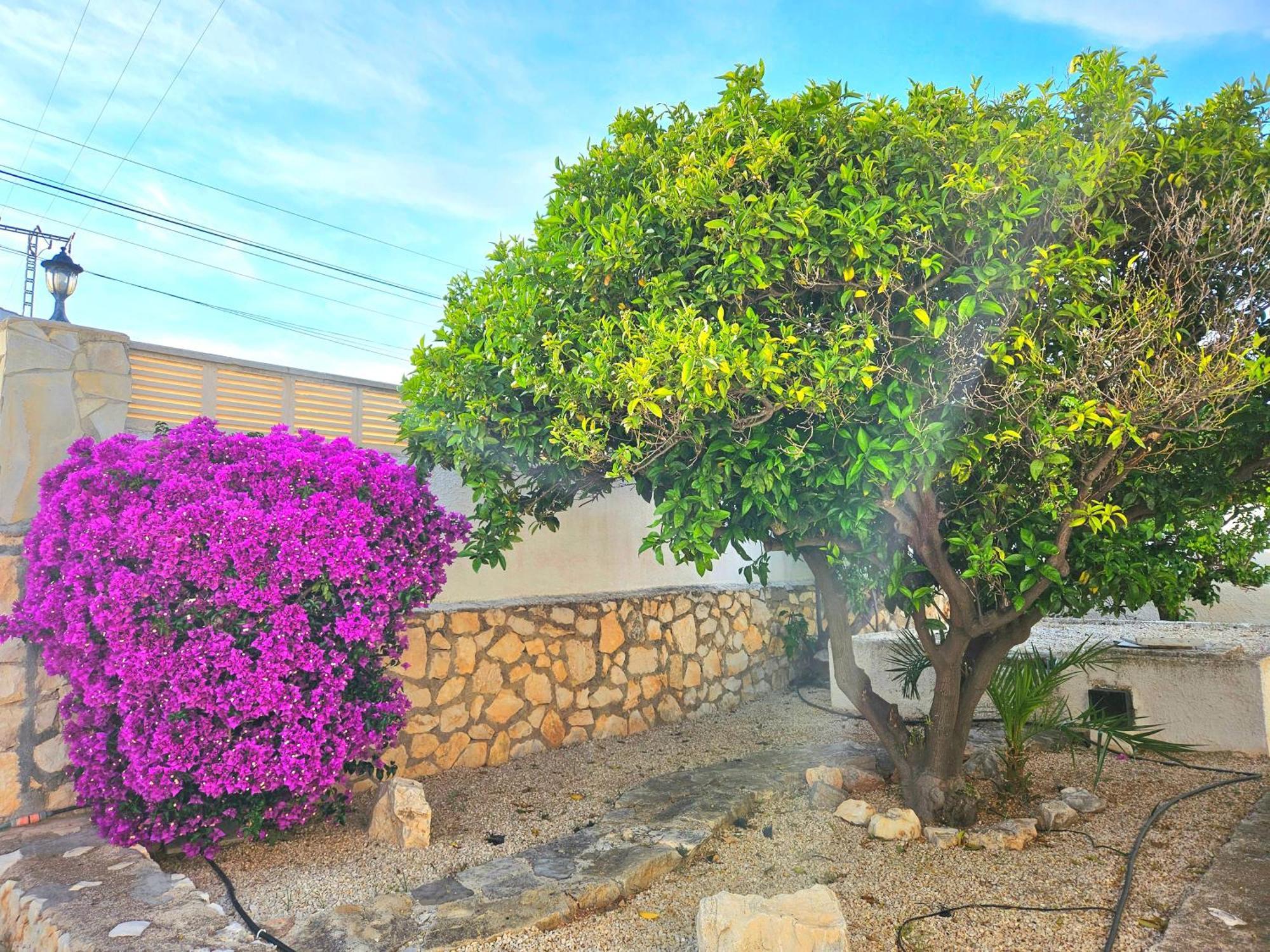 Lilly Villa Calpe