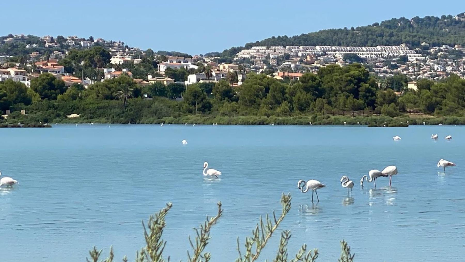 Apartment Timora Sea View New Apart' Hipocampos