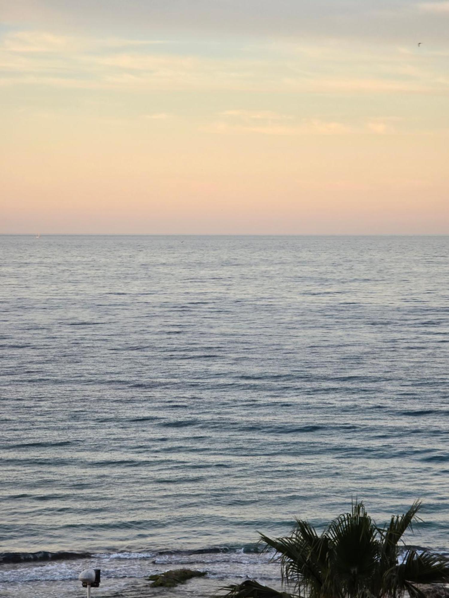 Mar Y Paz *