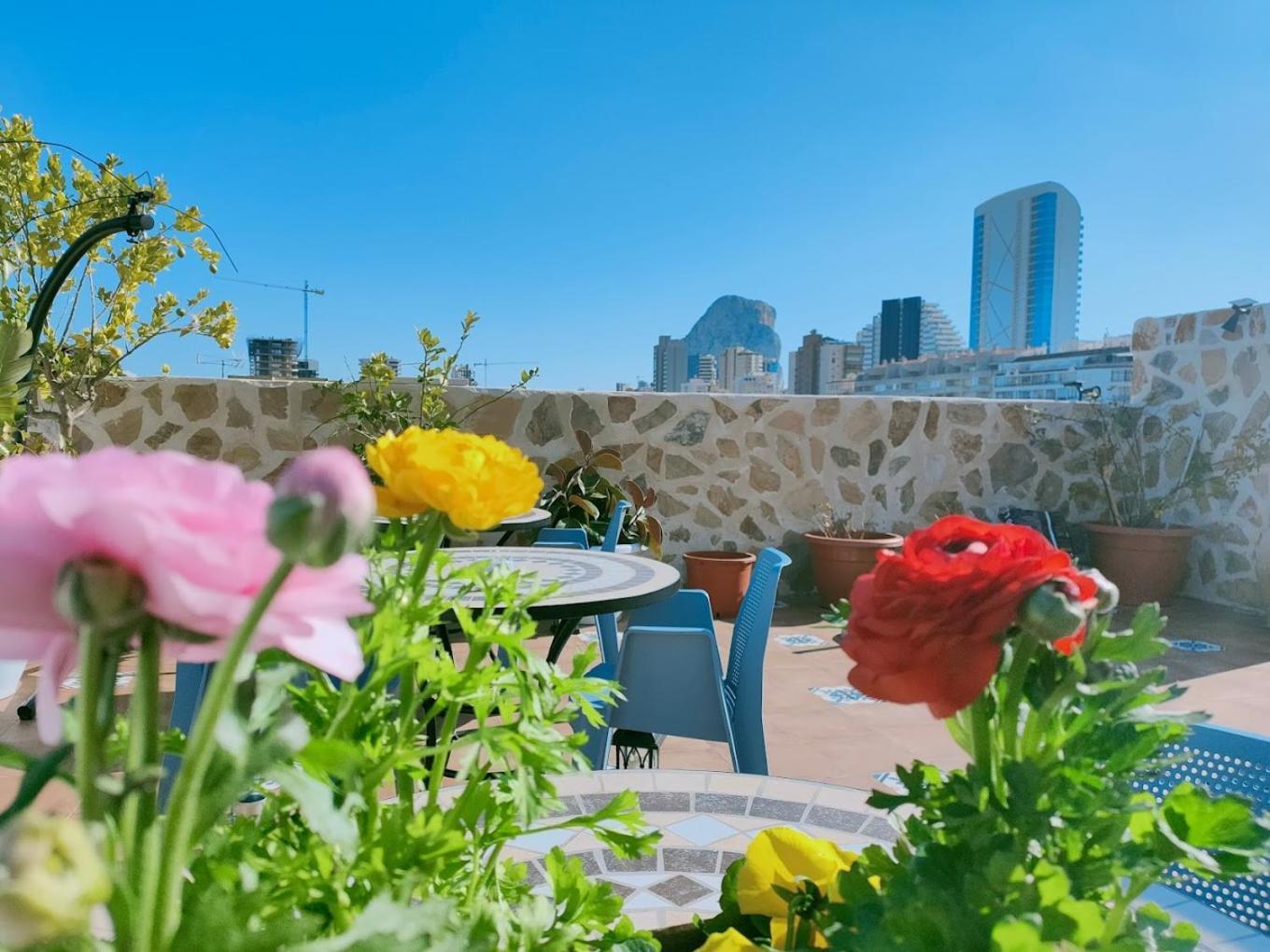 Hotel Calpe Hotel
