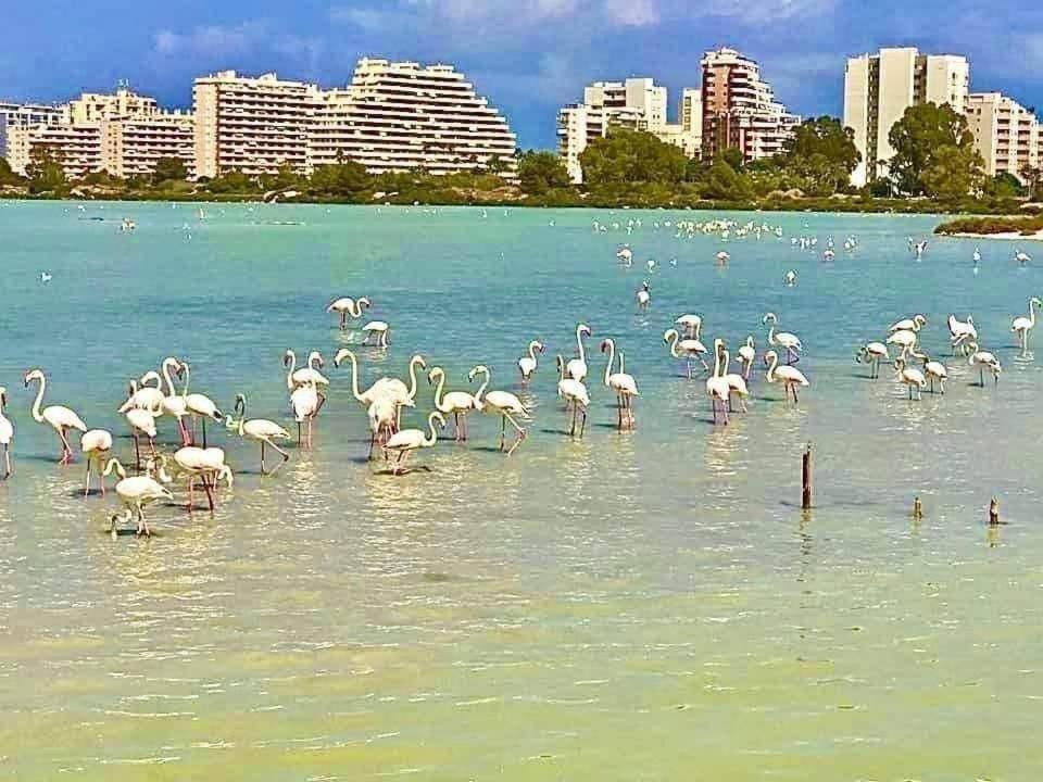 Fiorito