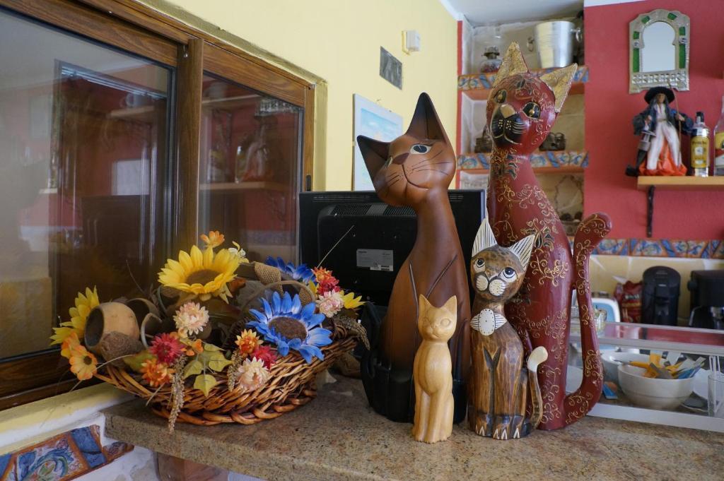 El Hidalgo Guest house