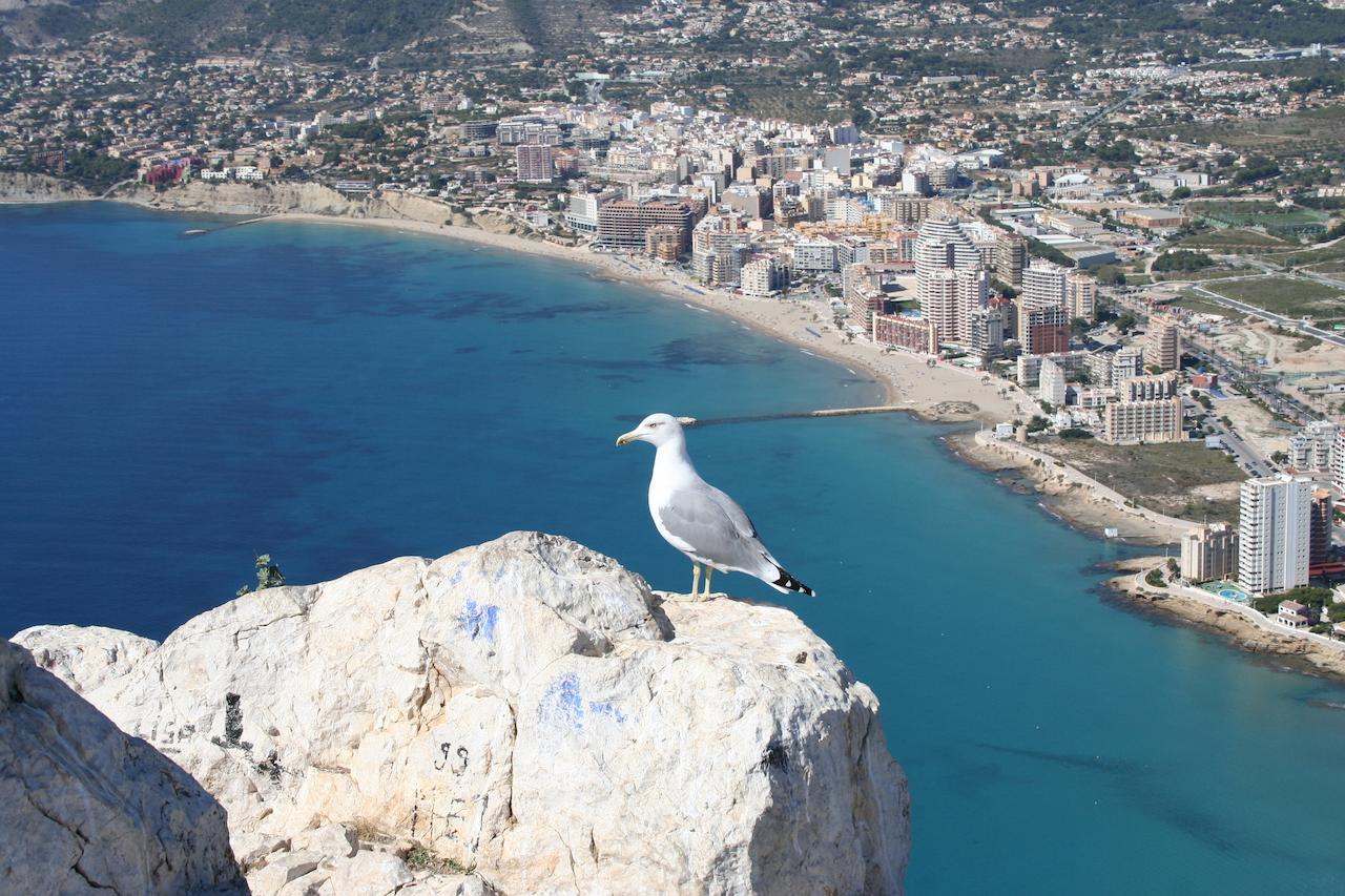 Estudio Reformado Cerca De La Playa, Ac, Wifi, Neftlix, Acepta Mascotas * Calpe