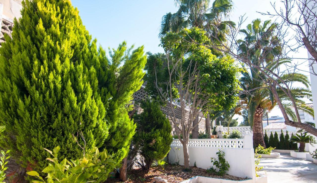 Guzman - Belvic Villa
